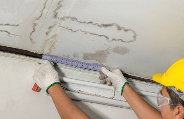 Reliable Burst Pipe Cleanup contractor in Williamsburg, VA by Local Water Damage Repair
